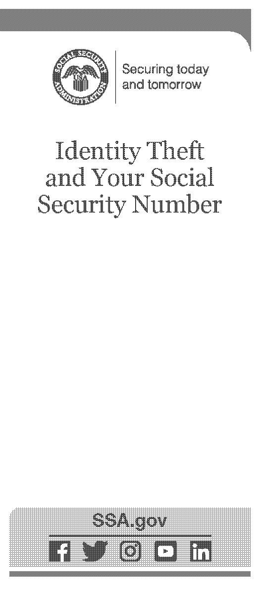 social security statement usa