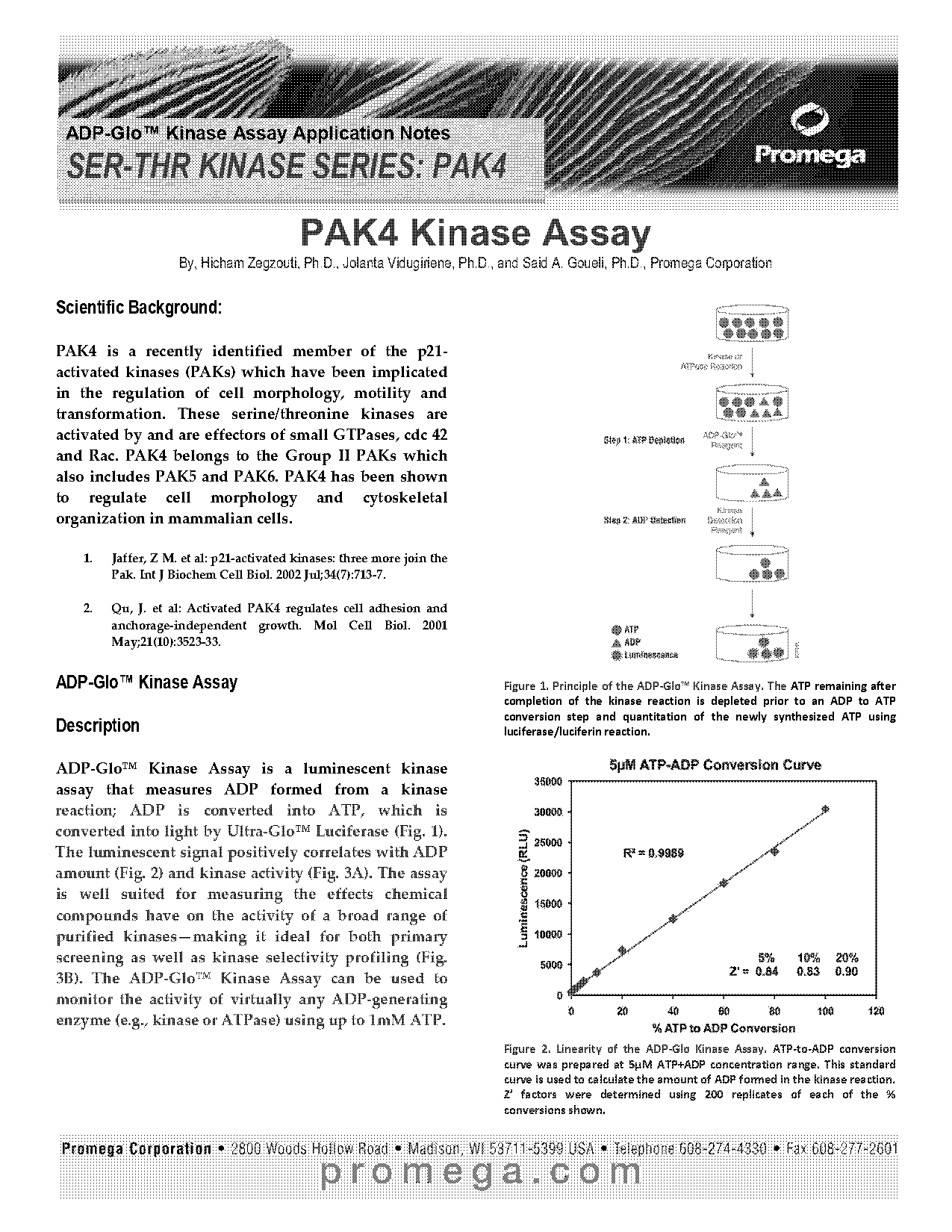 anchorage independent growth assay protocol