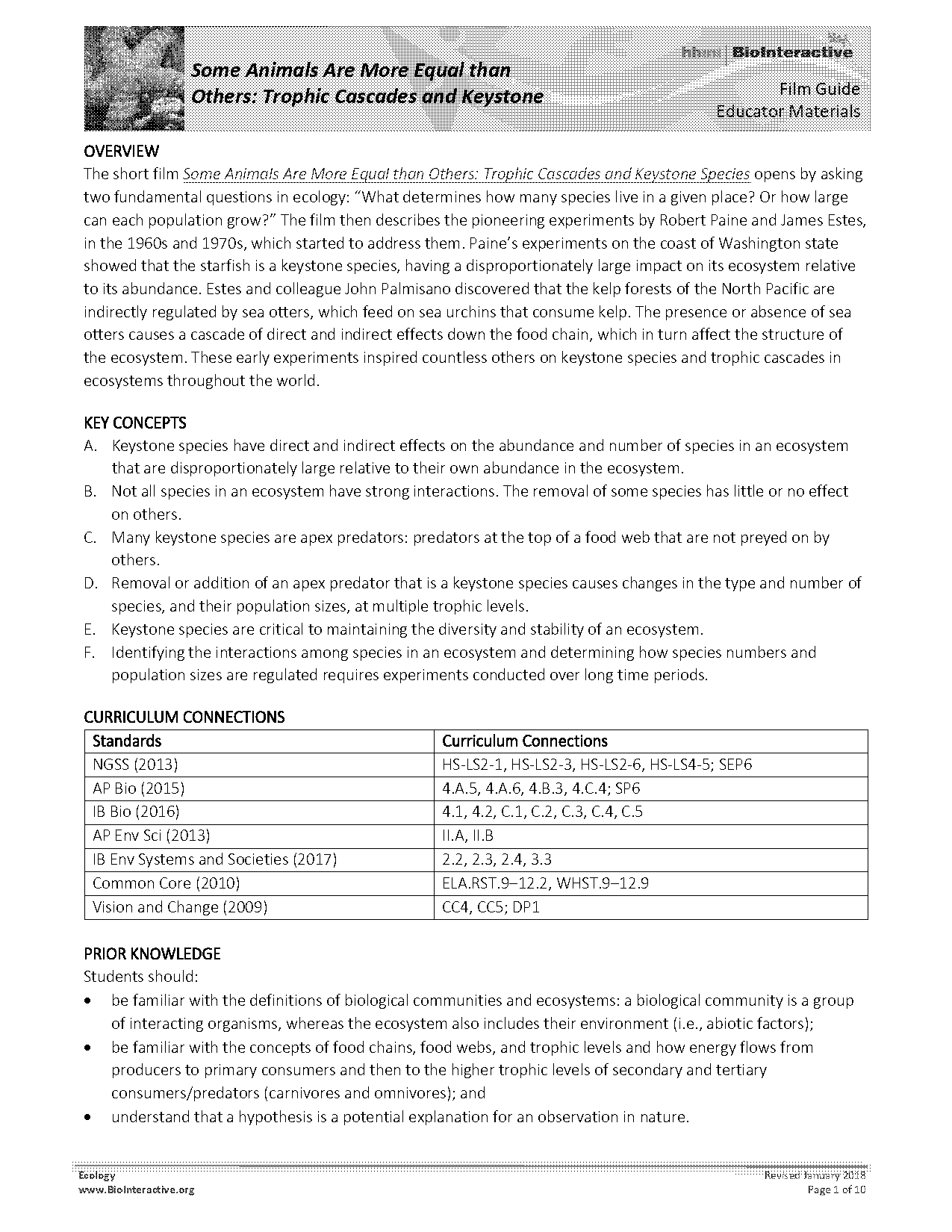 a food web worksheet answer key