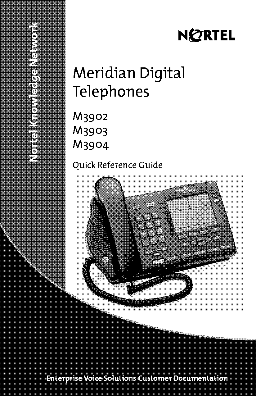 meridian phone programming template