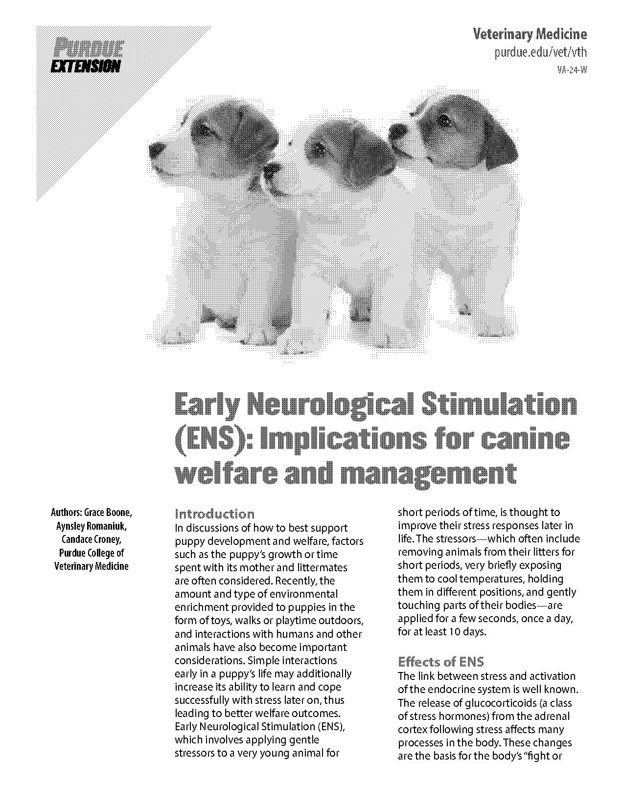 nervous system in dog worksheet