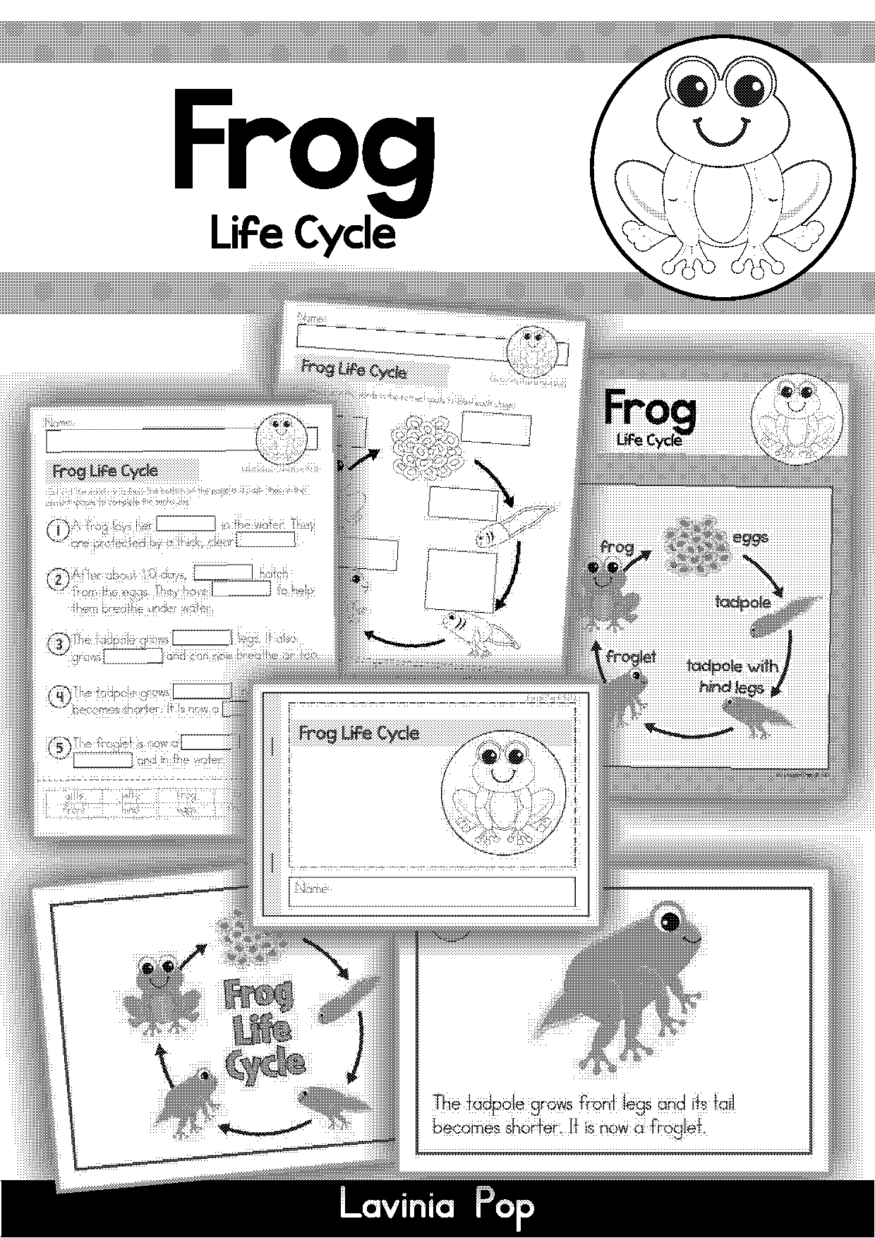 printable life cycle of a fish worksheet