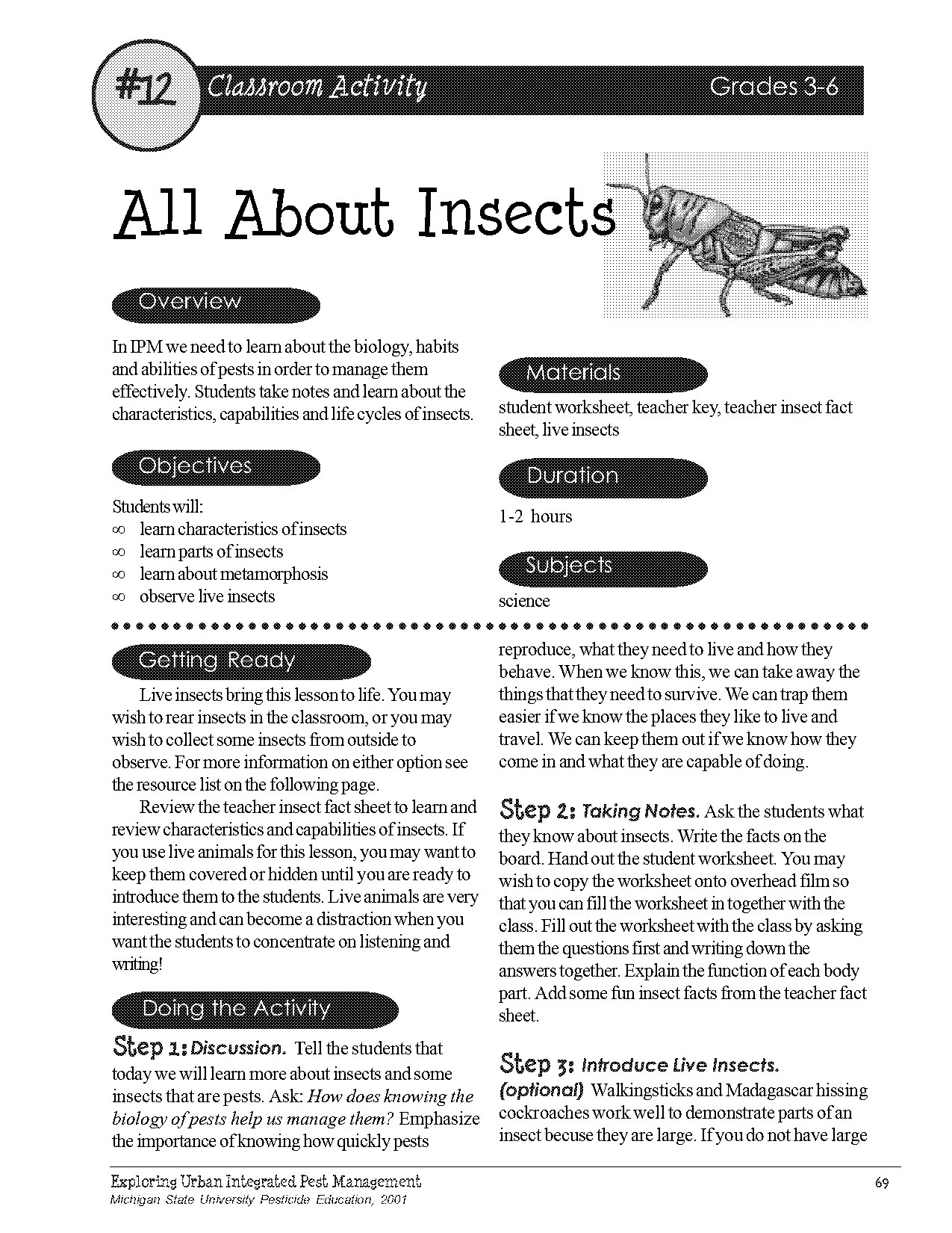 parts of an insect worksheet for kids