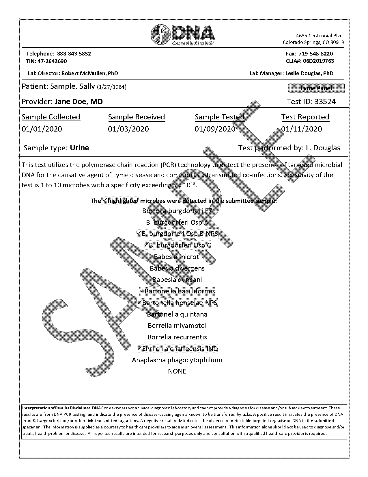 dna connexions sample report