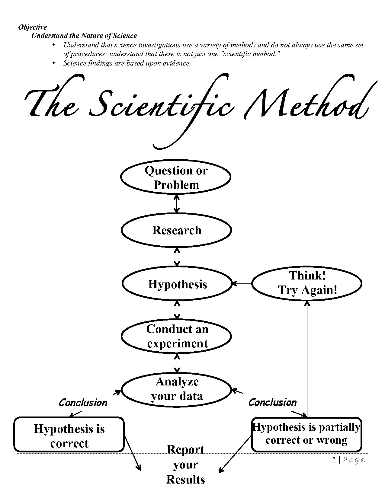 spongebob squarepants science worksheets