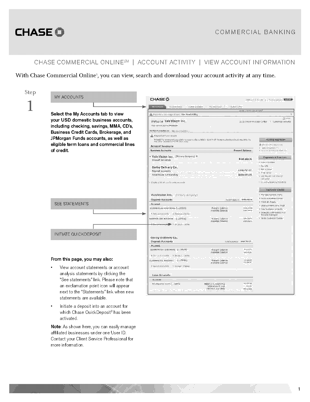 chase print bank statements