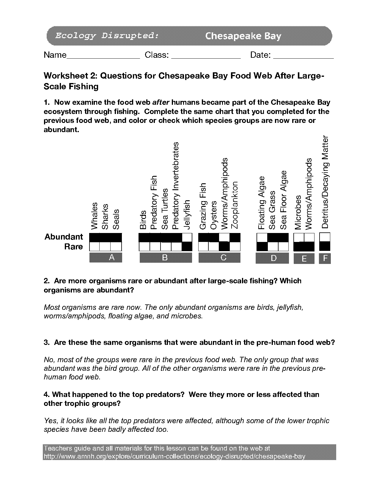 a food web worksheet answer key