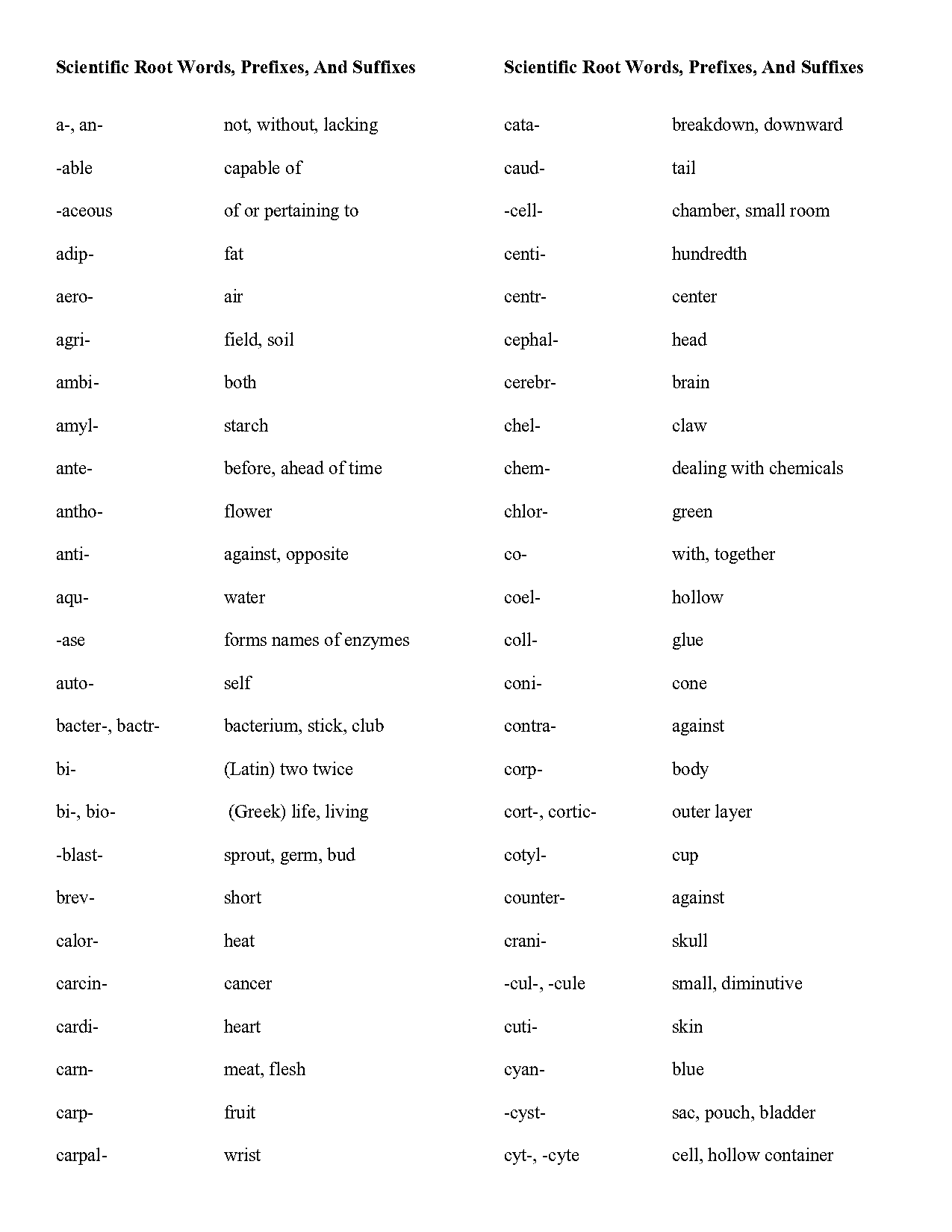 exterior root words worksheet