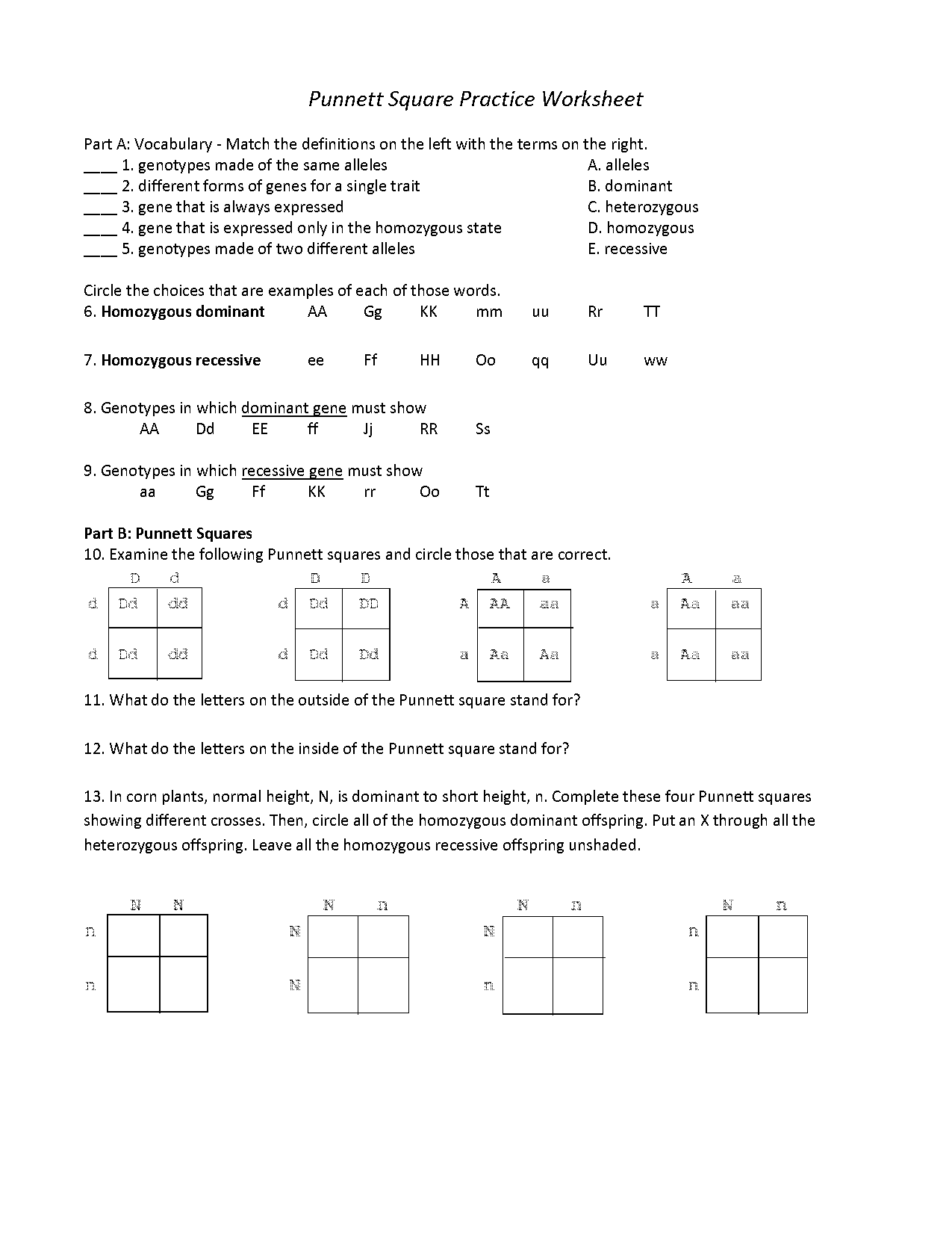 practice punnett squares for blood typing ap bio worksheet