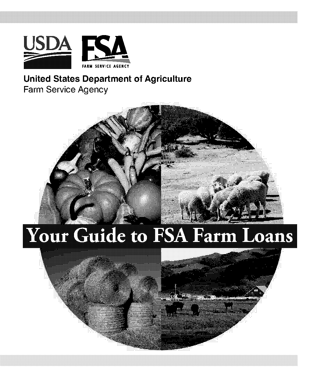 fsa direct ownership loan