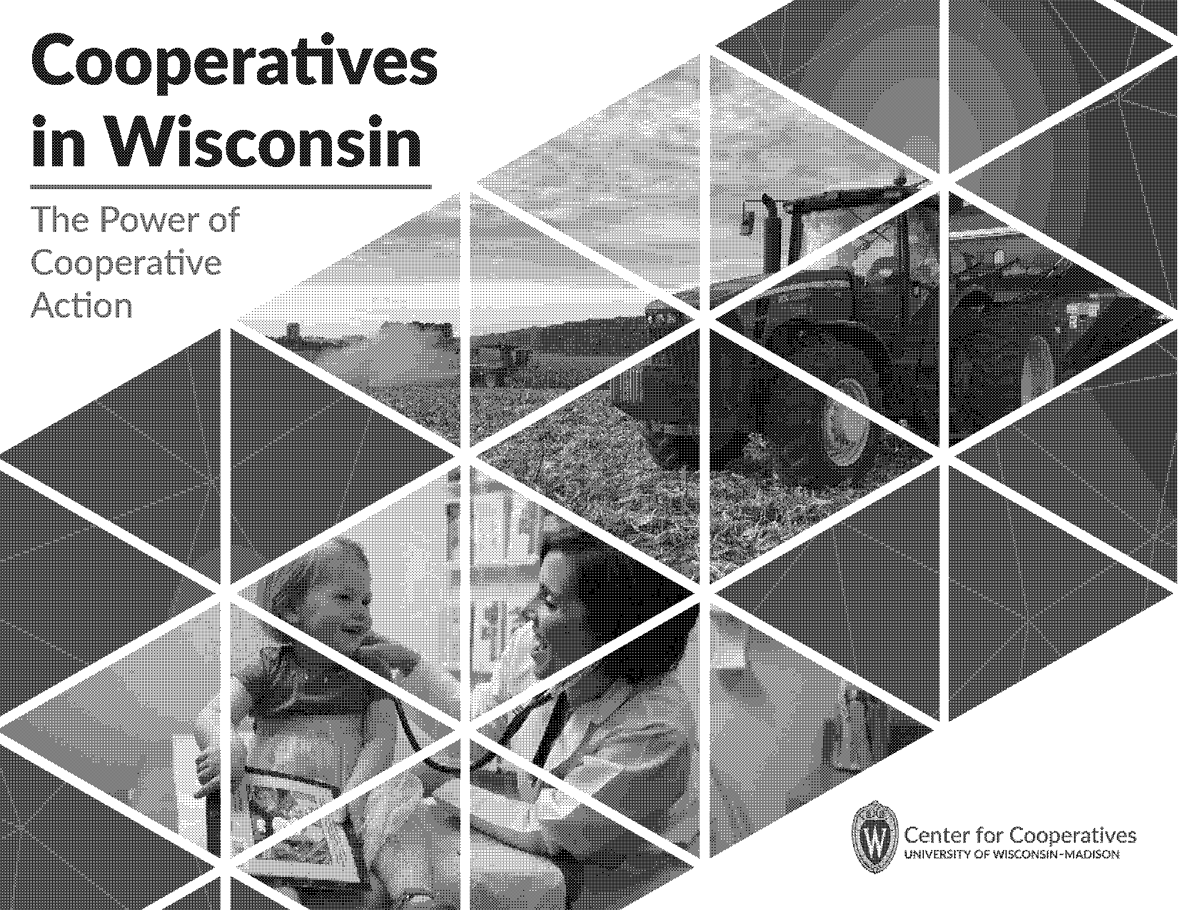 university of wisconsin center for cooperatives bylaws template