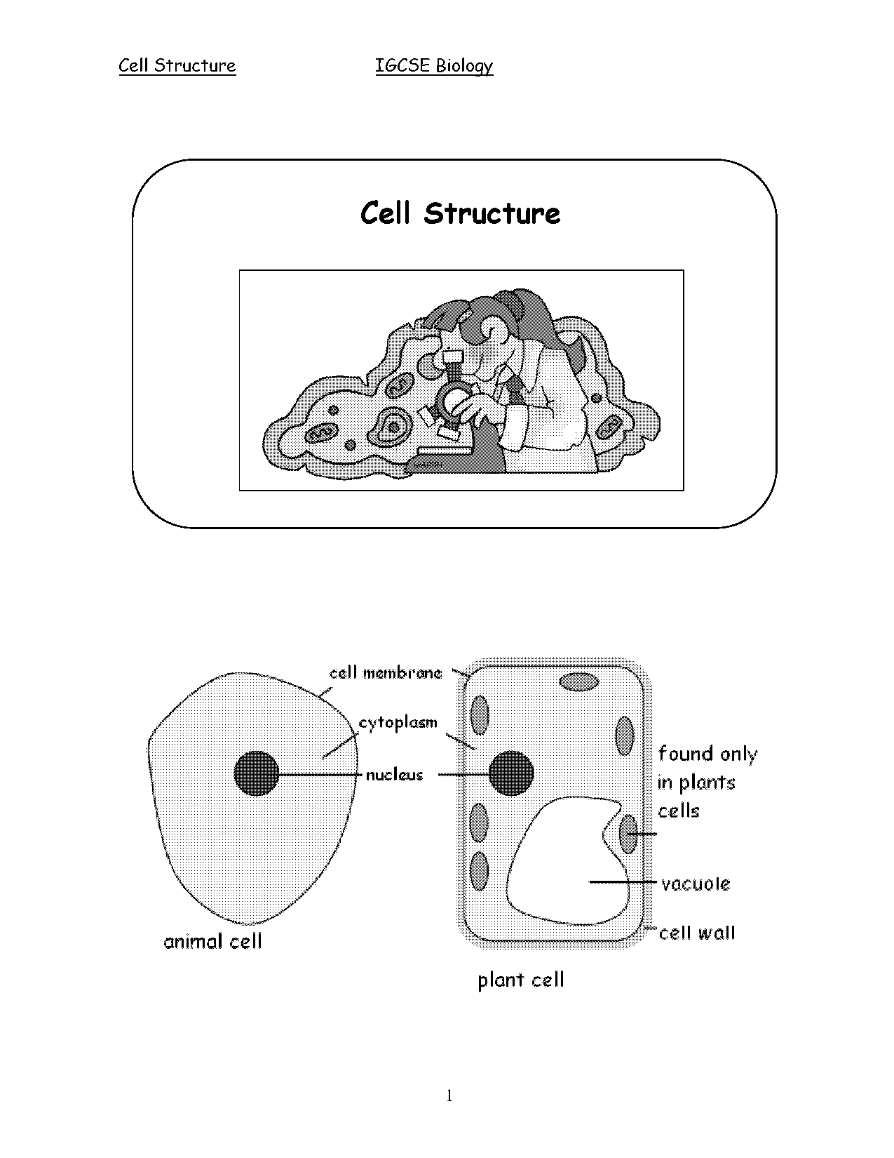 biology notes igcse pdf