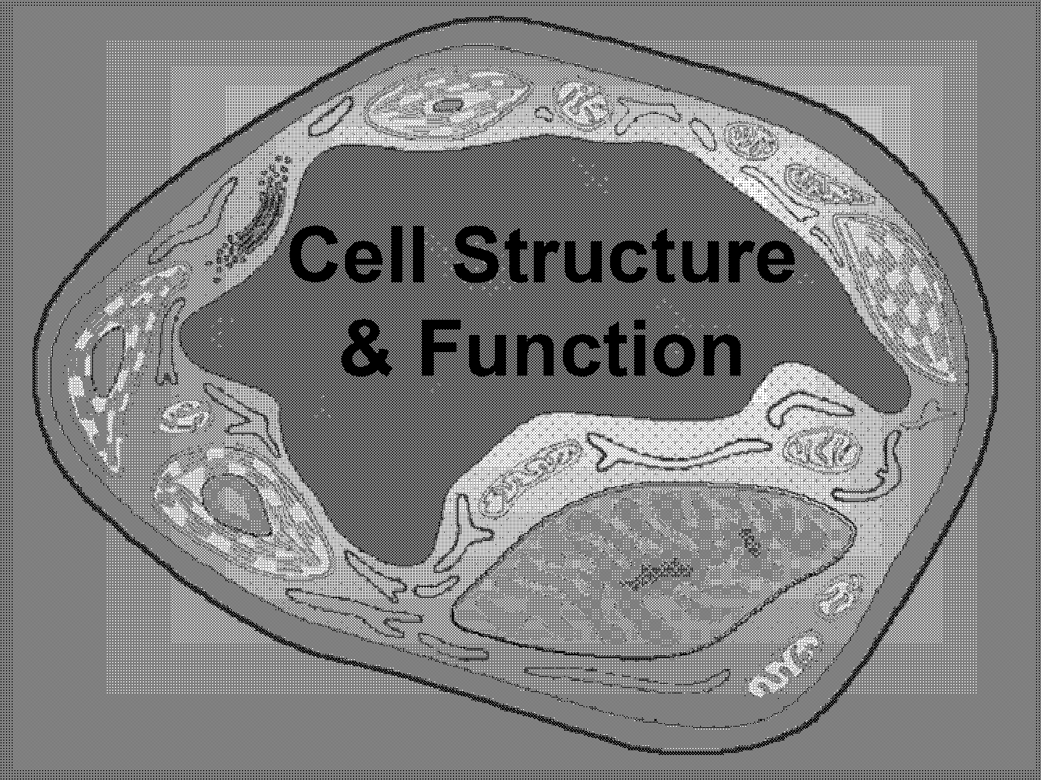 cell parts and functions notes pdf