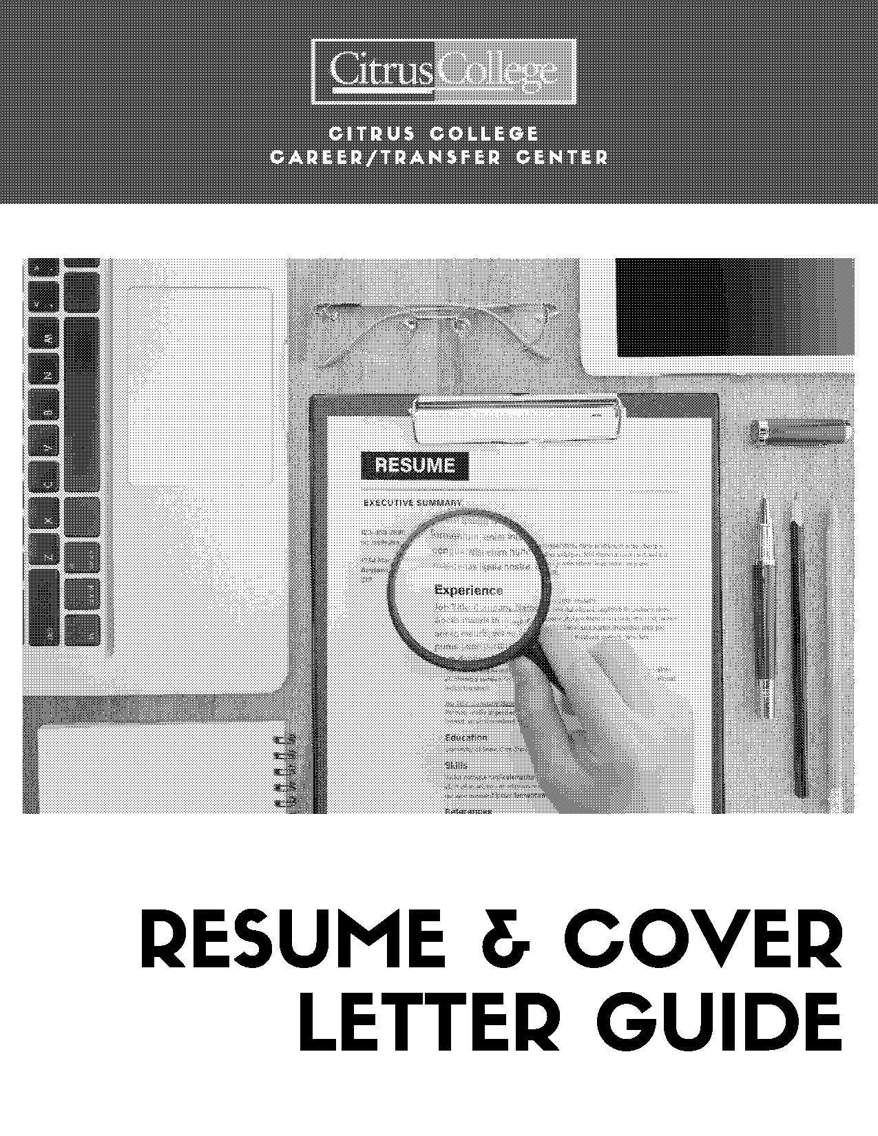 free project management resume templates