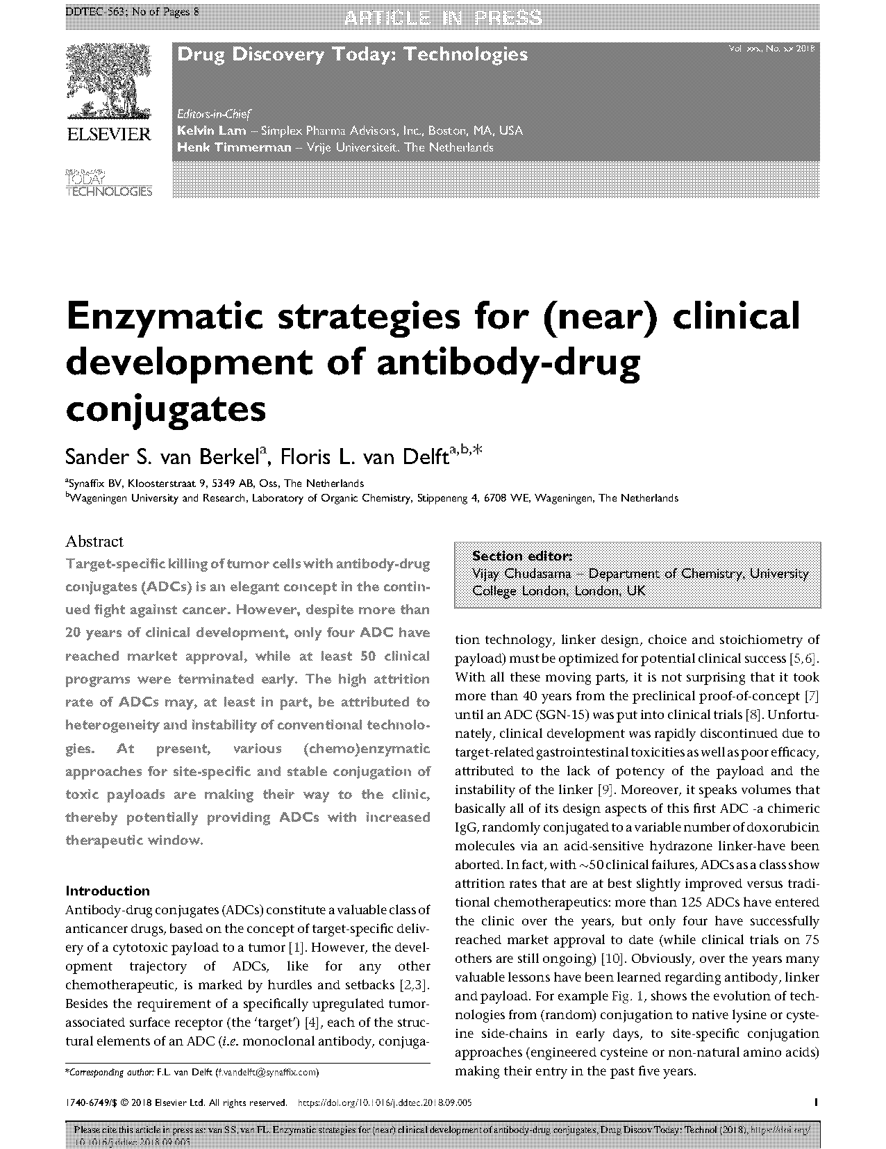 enzymatic antibody modification by bacterial transglutaminase