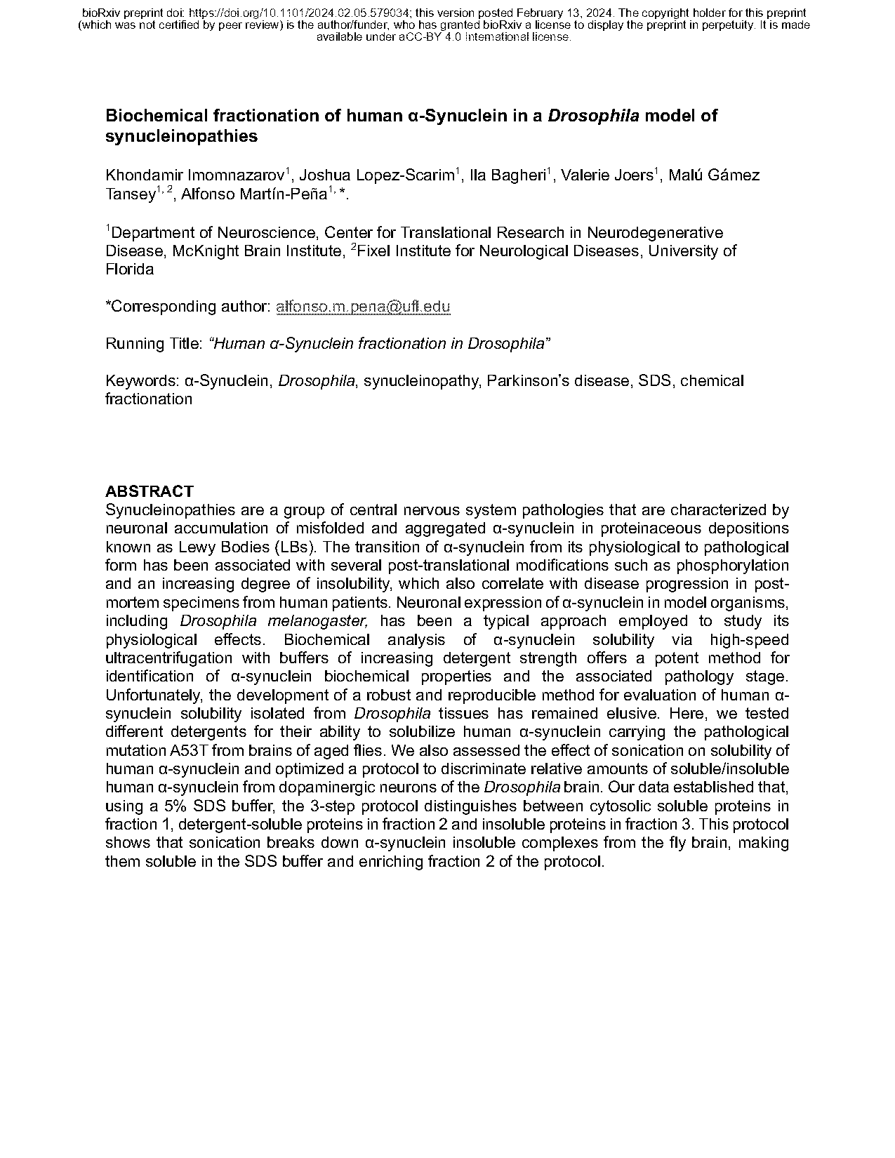 western blot protocol drosophila central nervous system