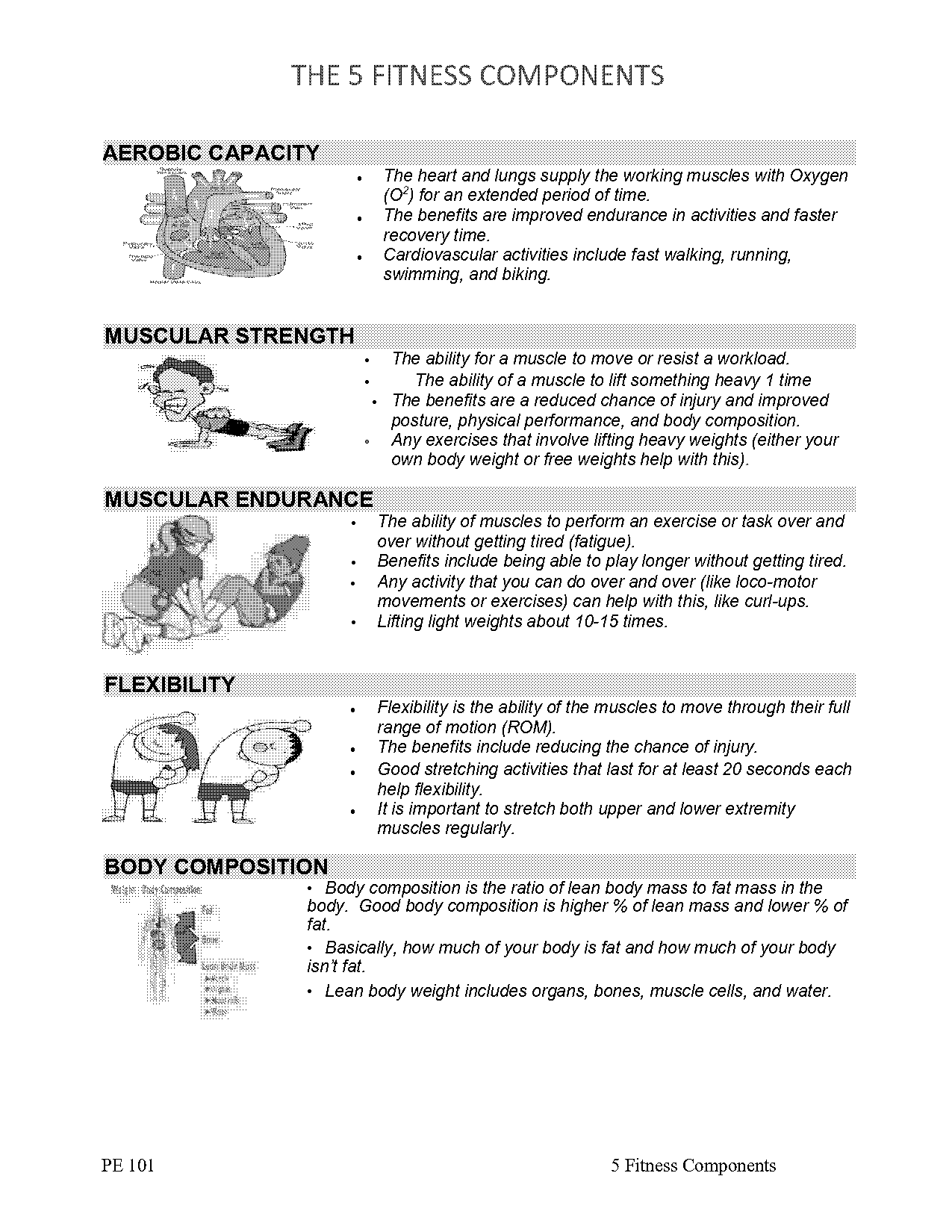 fitness components group worksheet answer key