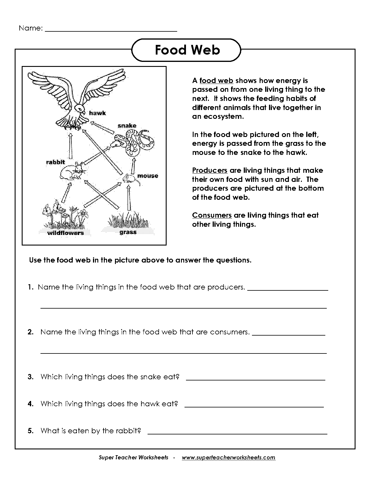 a food web worksheet answer key