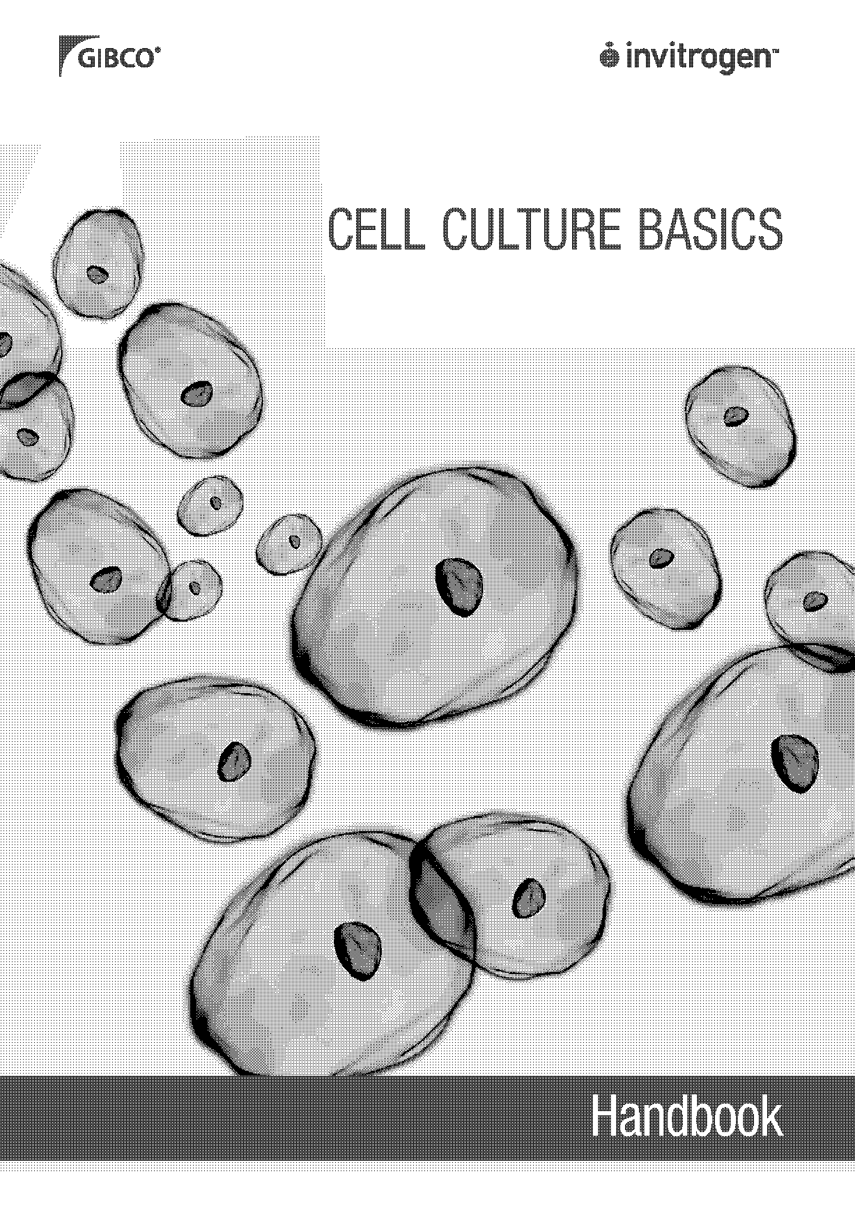 an optimized protocol of single spore isolation for fungi