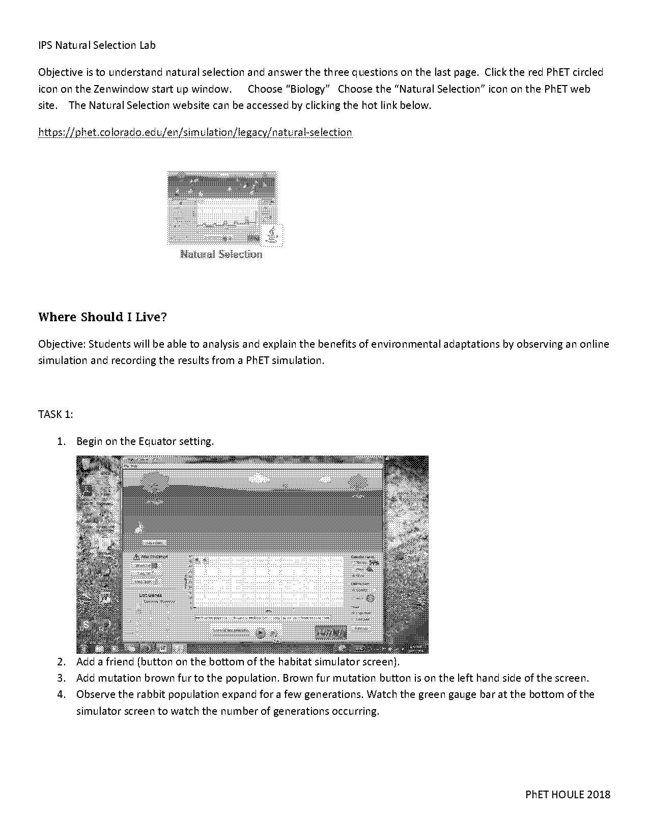 biology natural selection worksheet