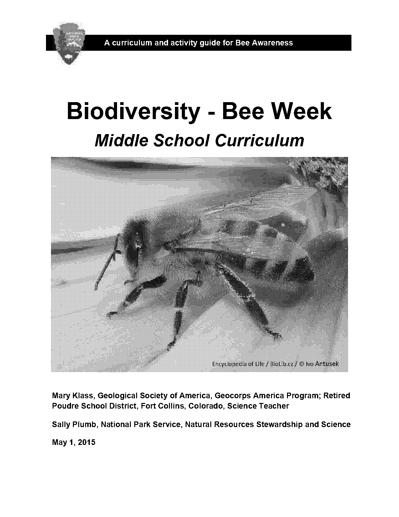 flight lesson plans middle school